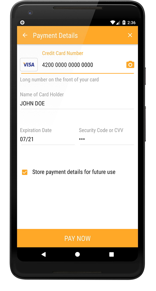 Store payment details during payment